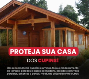 CUPIM: A praga que mais causa prejuízo no Brasil.